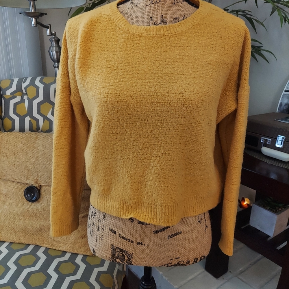 Two Sweaters - Picture 7 of 11